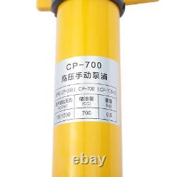 30 Ton Hollow Ram Hydraulic Cylinder Jack 50mm Stroke Single Acting+Hand Pump