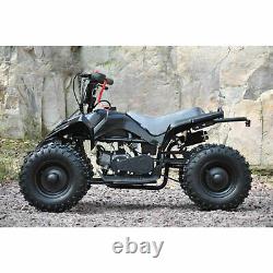 49CC 2-Stroke Scooter Motor kit Engine Motor for Pocket Mini Dirt Bike Quad ATV